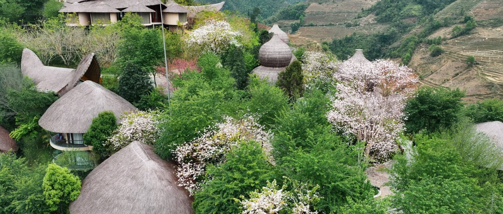 Khám Phá Nghỉ Dưỡng Wellness Trên Cao Nguyên Tây Bắc