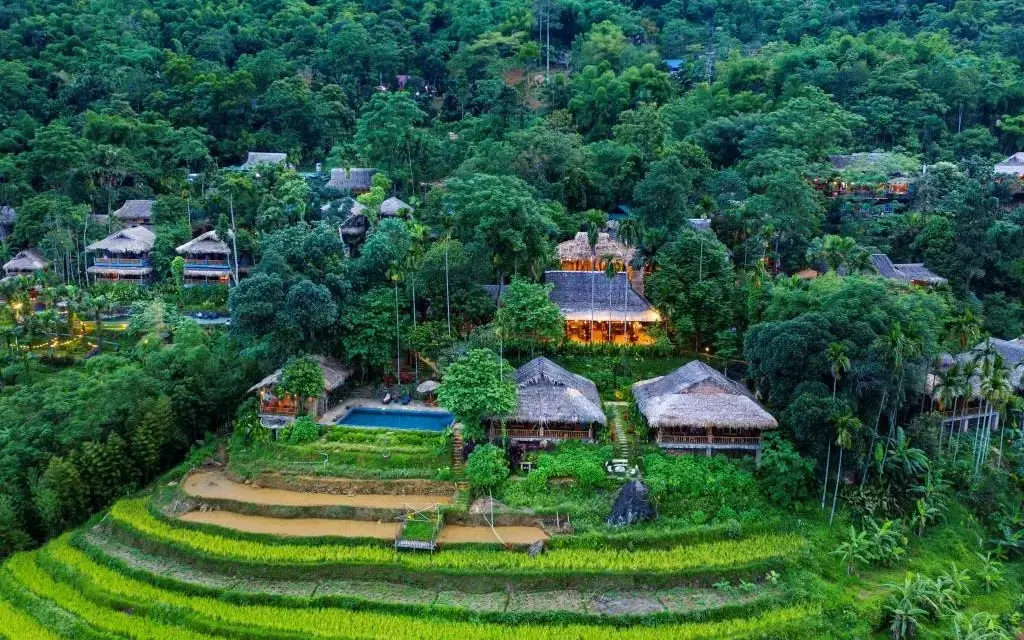 Khám Phá Pù Luông Thanh Hóa: Cẩm Nang Nghỉ Dưỡng Với View Ruộng Bậc Thang Tuyệt Đẹp
