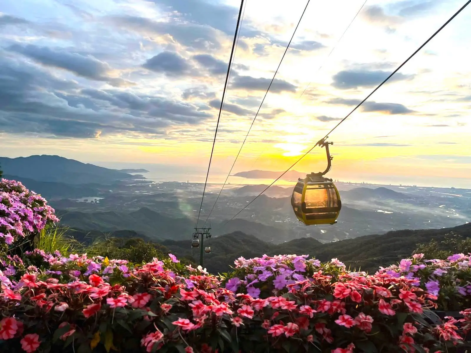 Cabin cáp treo Bà Nà lướt qua thảm hoa hồng tím, phía dưới là núi và thành phố lúc hoàng hôn