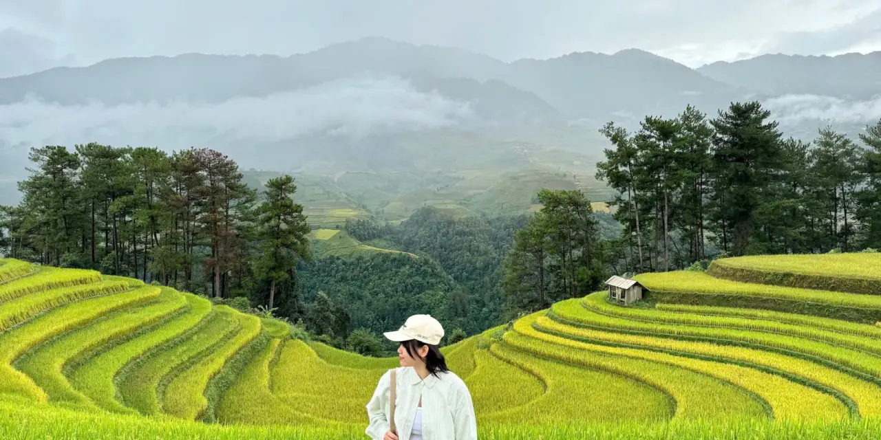 Khám Phá Tây Bắc Mùa Lúa Chín: Hành Trình Qua Những Ruộng Bậc Thang Vàng Óng