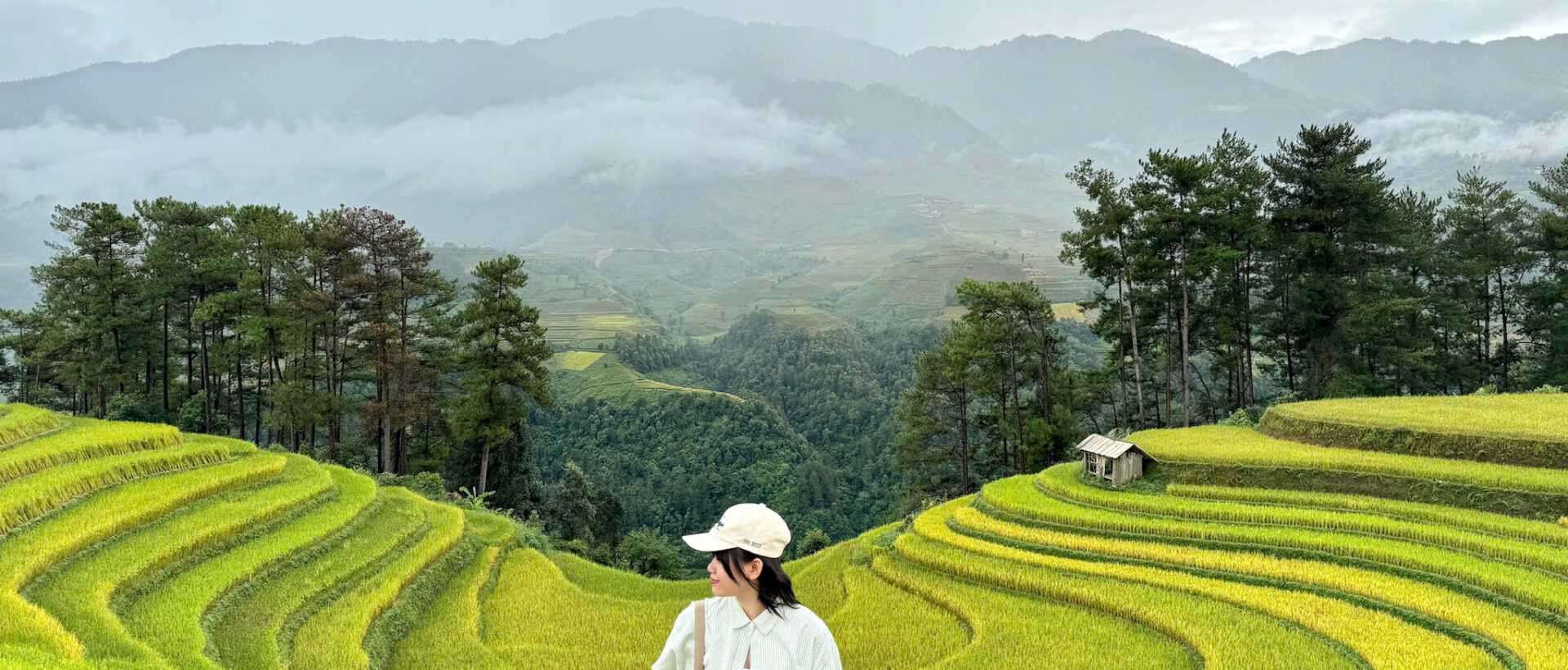 Khám Phá Tây Bắc Mùa Lúa Chín: Hành Trình Qua Những Ruộng Bậc Thang Vàng Óng