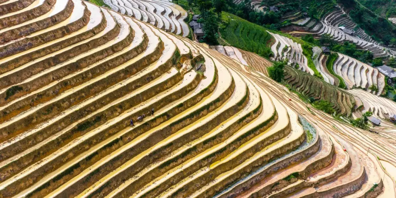 Khám Phá Vẻ Đẹp Mùa Nước Đổ Ở Bản Phùng Tuyên Quang