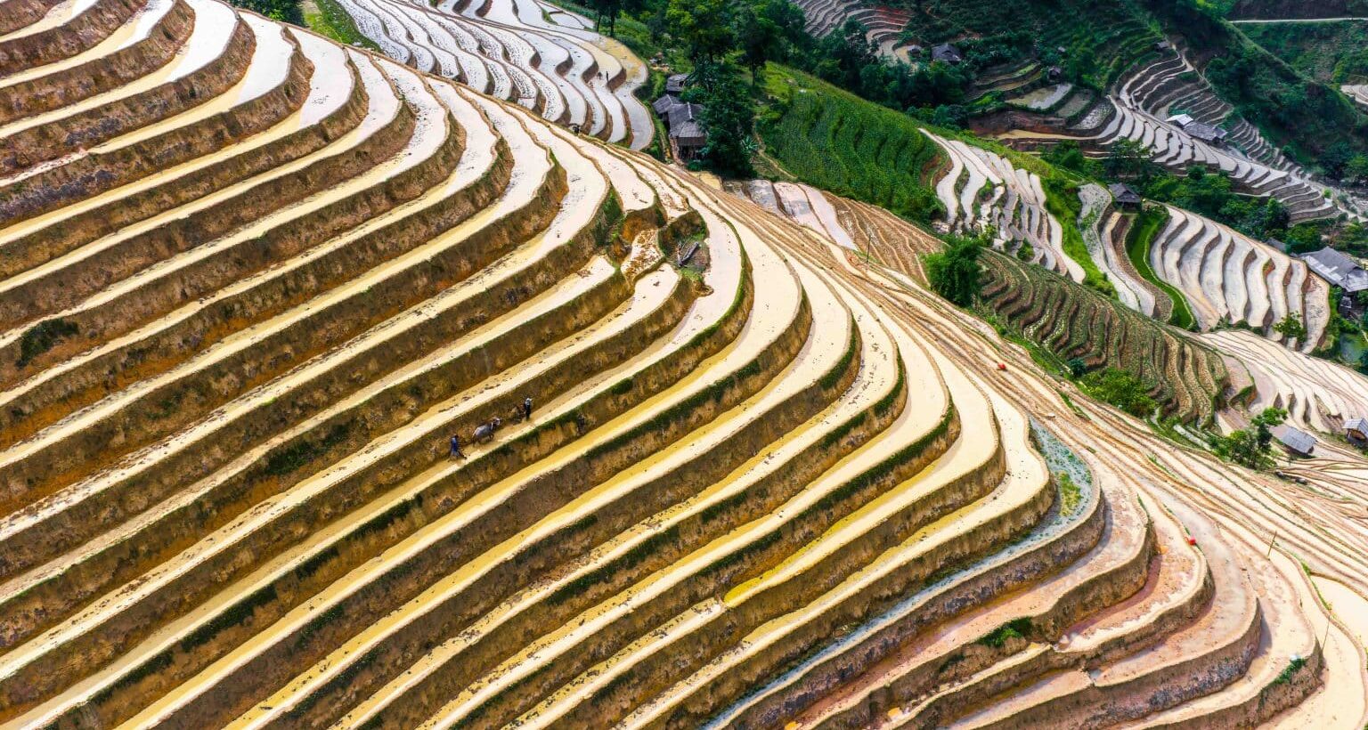 Khám Phá Vẻ Đẹp Mùa Nước Đổ Ở Bản Phùng Tuyên Quang