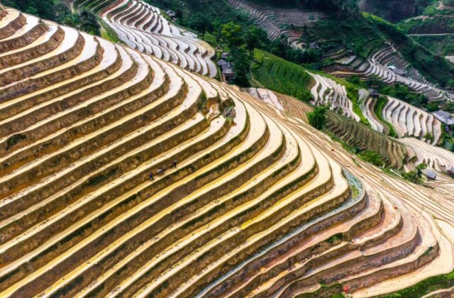 Khám Phá Vẻ Đẹp Mùa Nước Đổ Ở Bản Phùng Tuyên Quang