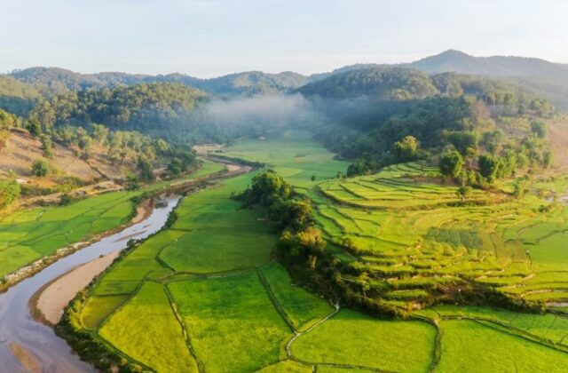 Kon Vơng Kia – Làng Lúa Bình Yên Giữa Thung Lũng Măng Đen