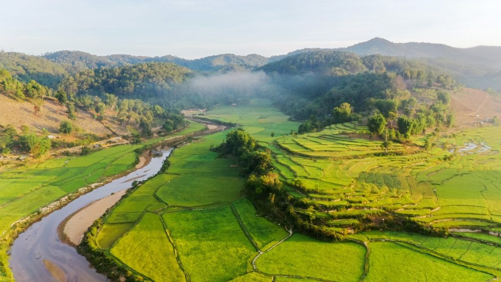 Kon Vơng Kia – Làng Lúa Bình Yên Giữa Thung Lũng Măng Đen