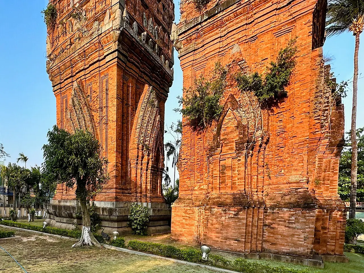 Hai ngọn tháp gạch đỏ cổ của người Chăm đứng cạnh nhau, có cây mọc trên thân tháp