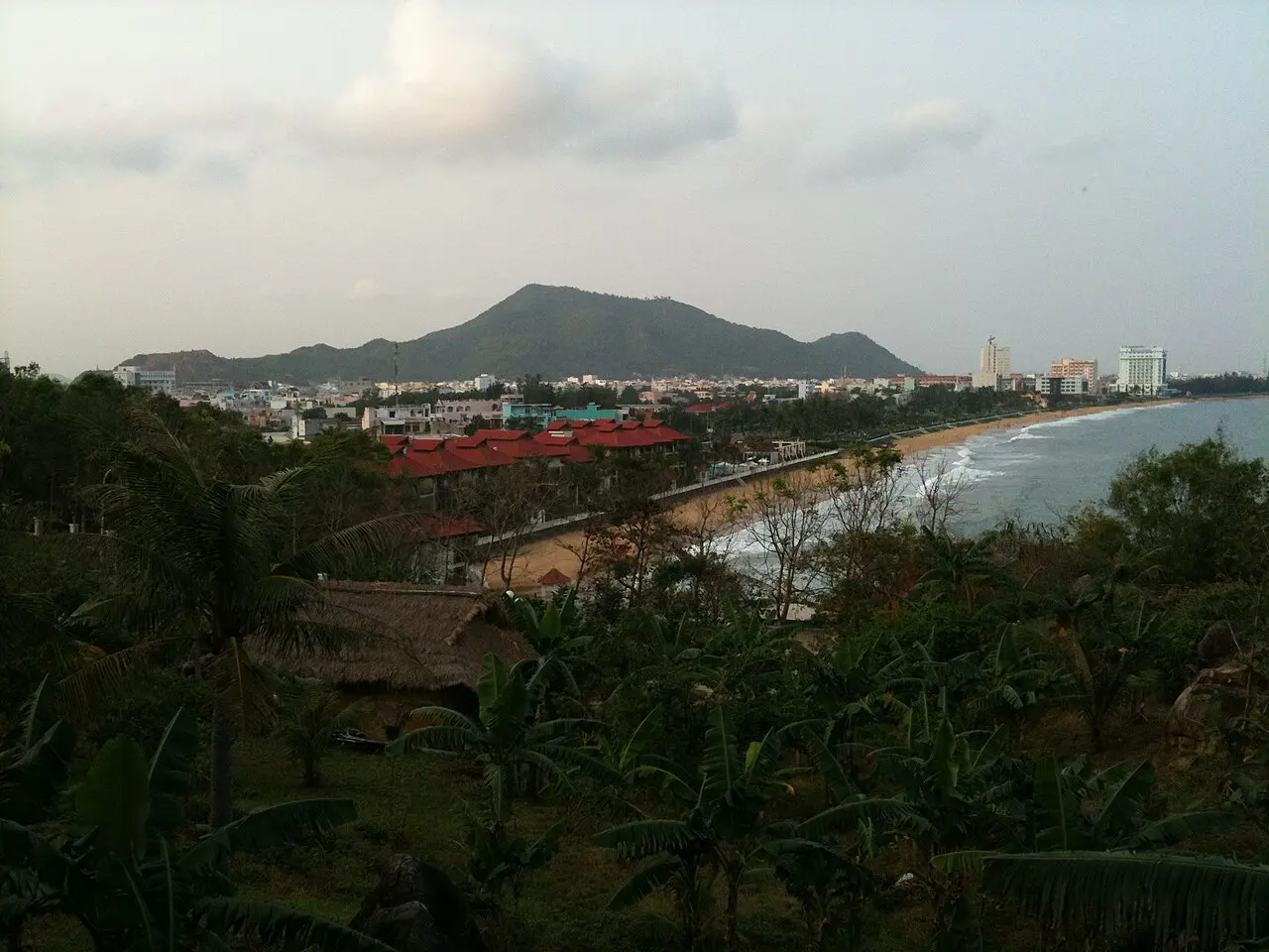Bờ biển cong chạy dọc thành phố, phía xa là núi và các tòa nhà cao tầng, nhìn qua tán cây