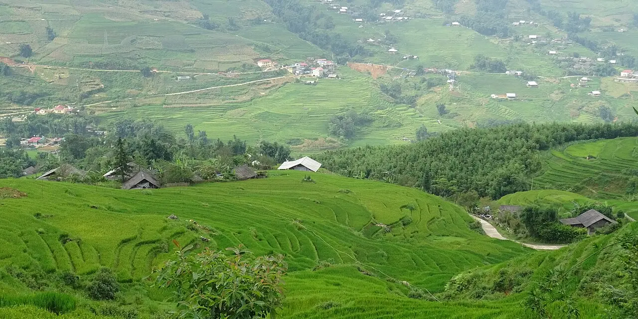 Thung lũng Mường Hoa với ruộng bậc thang xanh, mây phủ sườn núi Sa Pa